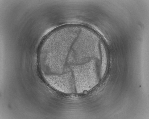 X0000114491315200911161204