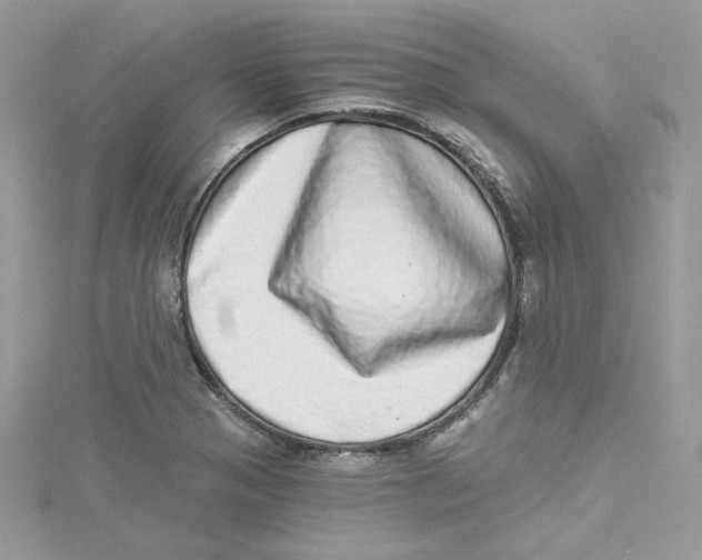 X0000114491321200911161204