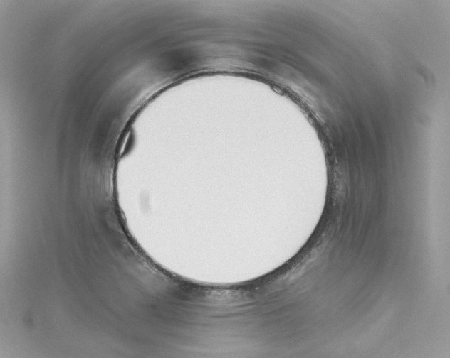 X0000114491322200911161204
