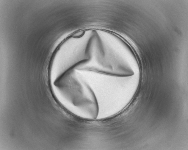 X0000114491341200911161204