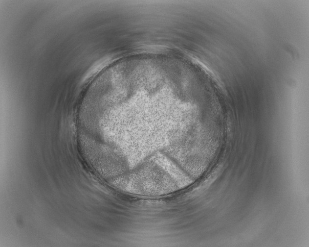 X0000114491354200911161204
