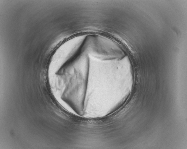 X0000114491355200911161204