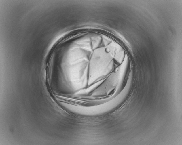 X0000114491368200911161203