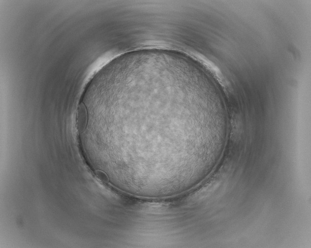 X0000114491373200911161203