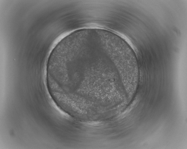 X0000114491387200911161203
