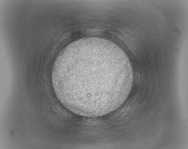 X0000114491393200911161202