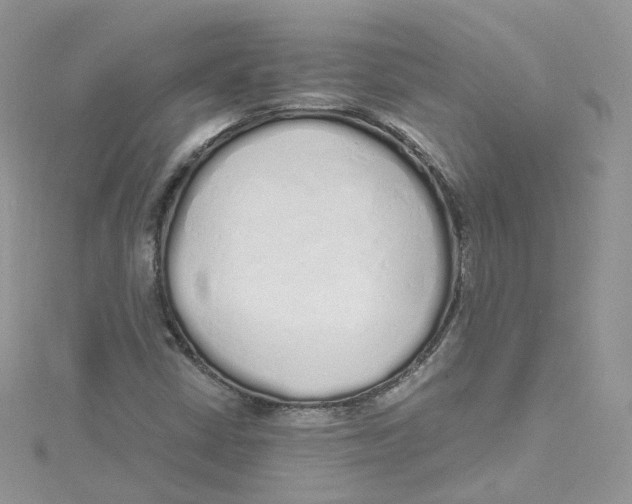 X0000114491402200911161202