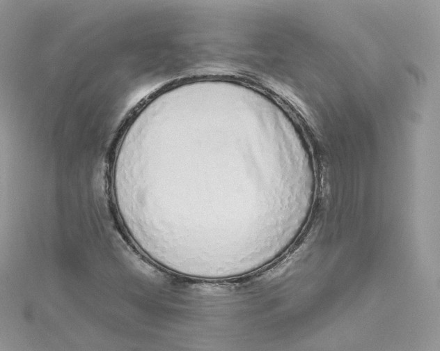 X0000114491404200911161202