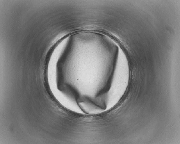 X0000114491410200911161203
