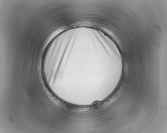X0000114491426200911161203