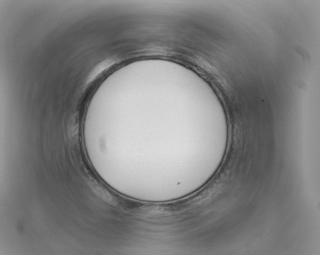 X0000114491450200911161202