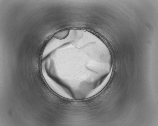 X0000114491451200911161202