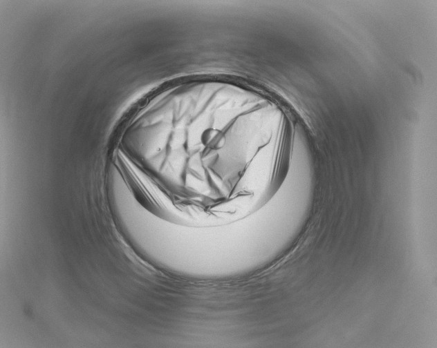 X0000114491452200911161202
