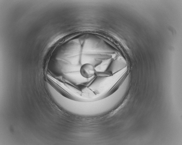 X0000114491453200911161202
