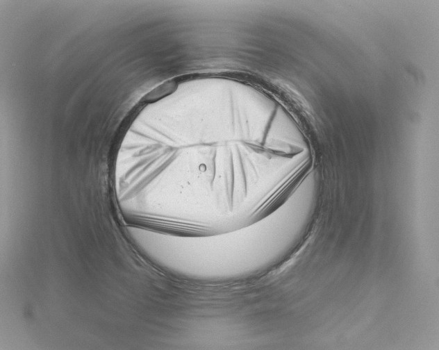 X0000114491457200911161202