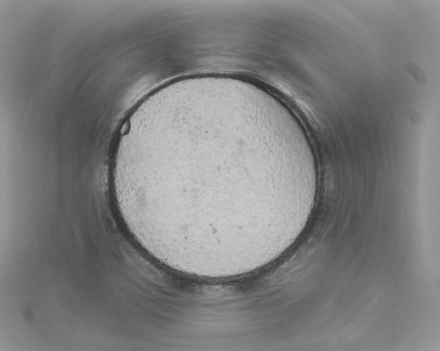 X0000114491459200911161202