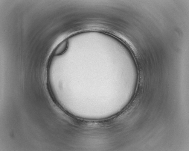 X0000114491467200911161202