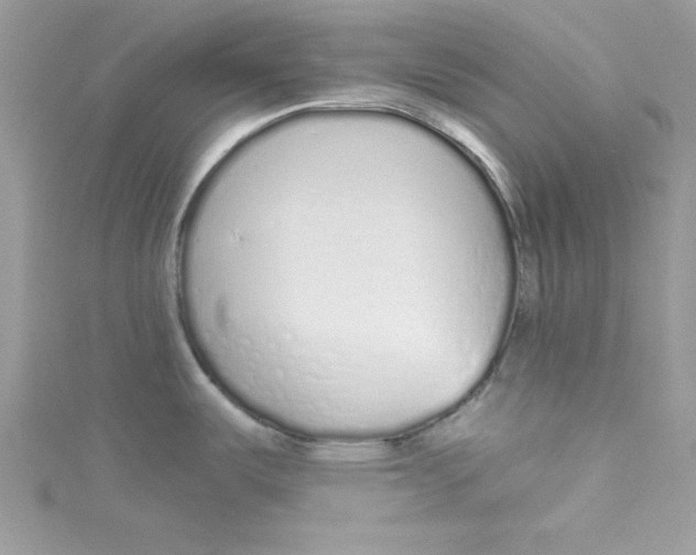 X0000114491487200911161202