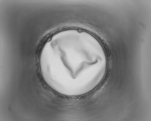 X0000114491494200911161201