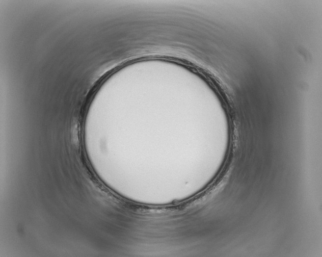 X0000114491497200911161201
