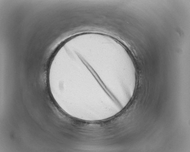 X0000114491503200911161201