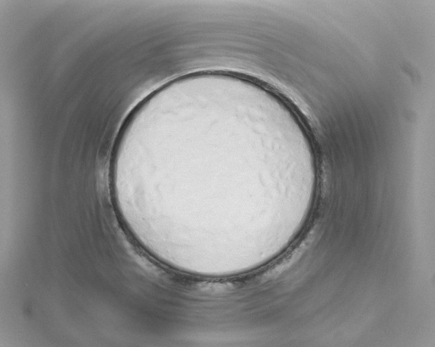 X0000114491513200911161201