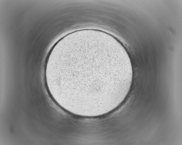 X0000114491518200911161201