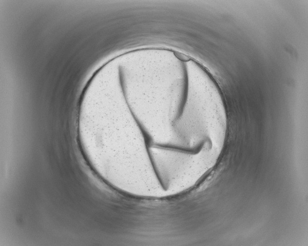 X0000114491526200911161201
