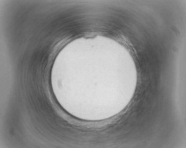 X0000114490001200911301116