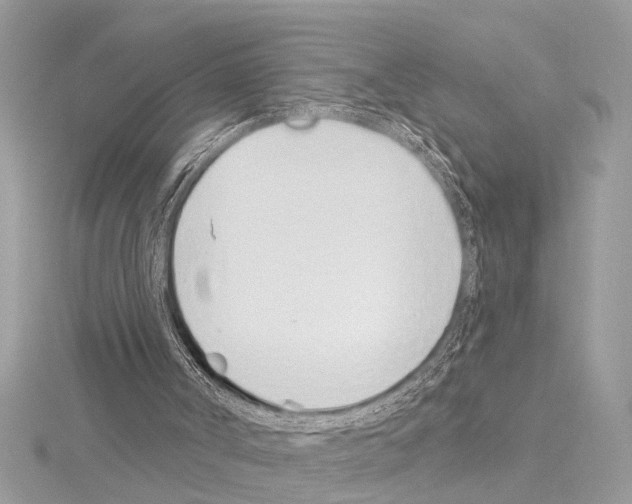 X0000114490002200911301116