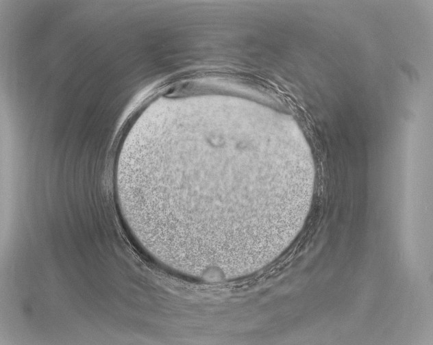 X0000114490004200911301116