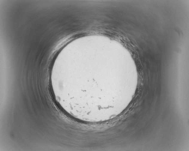 X0000114490005200911301116