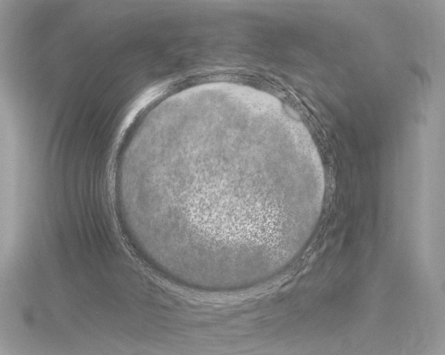 X0000114490006200911301116