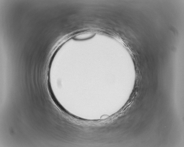 X0000114490007200911301116