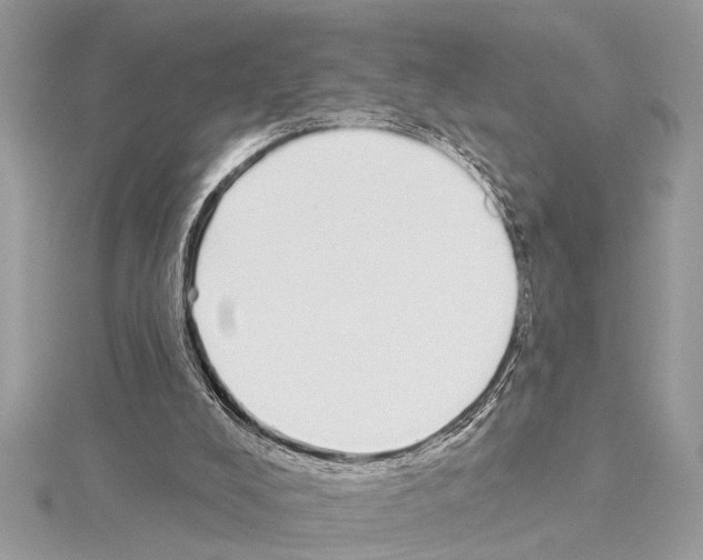 X0000114490008200911301116