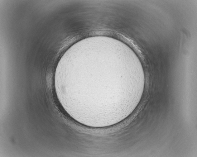 X0000114490010200911301115