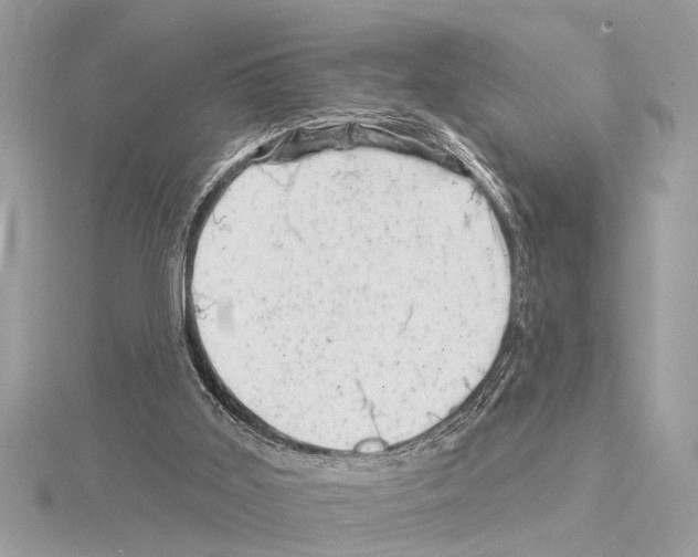 X0000114490011200911301115