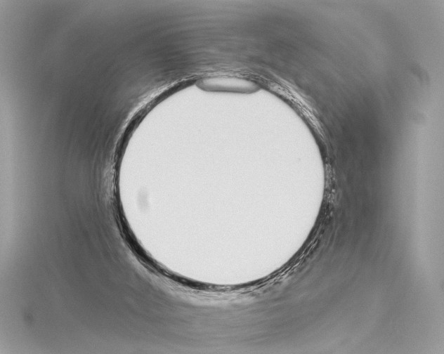 X0000114490012200911301115