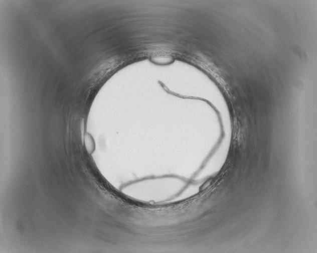 X0000114490013200911301115