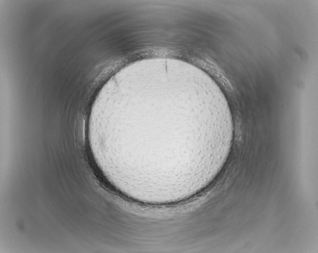 X0000114490014200911301115