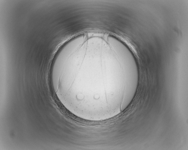 X0000114490015200911301115