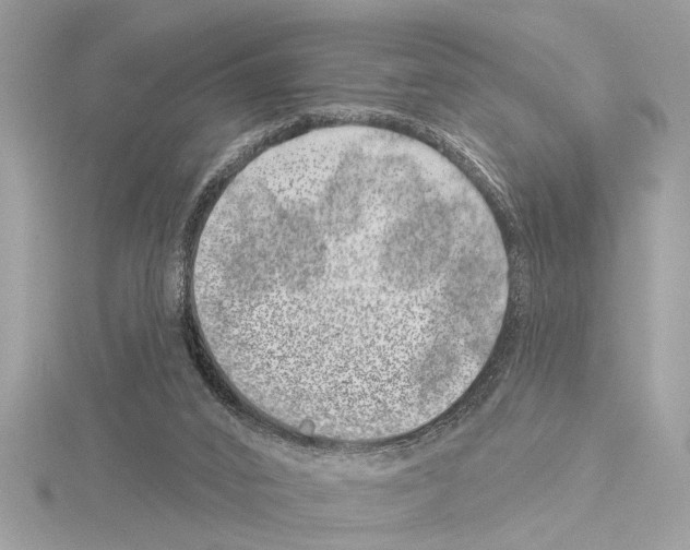 X0000114490016200911301115