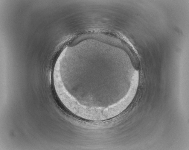 X0000114490019200911301115