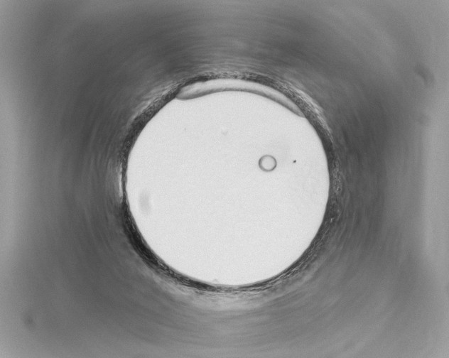 X0000114490020200911301115