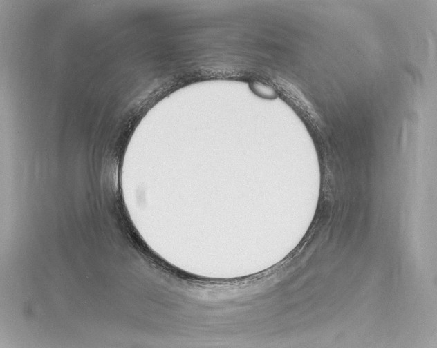 X0000114490021200911301115