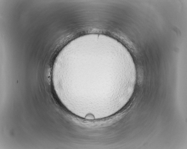 X0000114490022200911301115