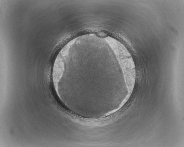 X0000114490023200911301115