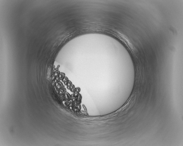 X0000114490025200911301115