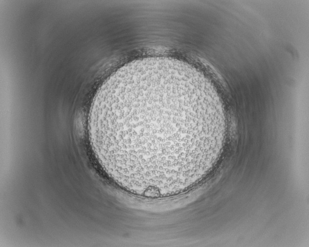 X0000114490026200911301115