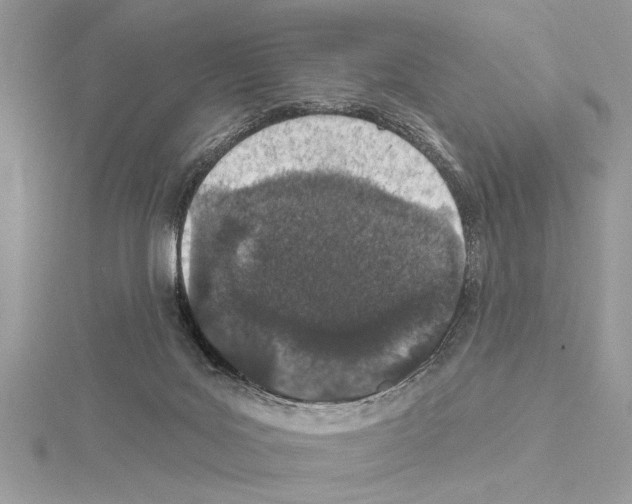 X0000114490027200911301115